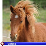 Vordis  ( VERKAUFT)