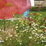 Papaver Giganteus-parc de Wesserling, sculpture paysagère - 2010