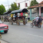 Bus á crottin