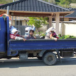 Transport de travailleuses aux champs