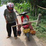 Transport de chiens