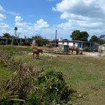 Paysage autour de Pinar Del Rio