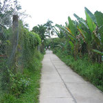 Intérieur des terres dans le delta