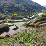 Paysage autour du village