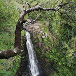 Glenashdale Falls