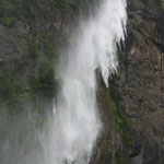 Milford Sound - vom Winde verweht