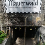Bunkeranlage Mauerwald