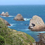 Nugget Point