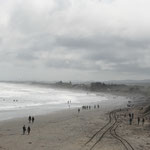 Muriwai Beach