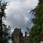 Brodick Castle