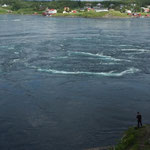 Saltstraumen