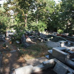 GEO - Friedhof in Tbilisi, es lebe das Chaos