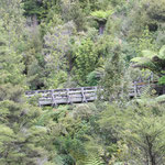 Hunua Ranges