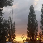 Mystic Festival - Abendstimmung