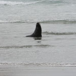 Wharariki Beach