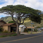 Lunalilo Home Road, Hawaii Kai, Honolulu / HI