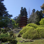 Golden Gate Park