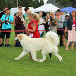 Echo de'Chien Escuda pour Garcon. Photo Nikola Perkovic