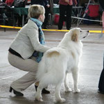 Echo de'Chien Amelie Queen - Estonian, Lithuanian, Finnish and Belarus Champion