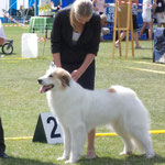 Echo de'Chien Atalja - Estonian Champion. 1xCACIB