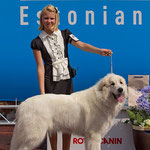 Echo de'Chien Bianca - Baltic Winner 2013, Winter Cup Winner 2013, Best female in Estonian Specialty show 2013, 1 CAC away compleating her Estonian and Latvian Champion title