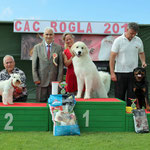 Echo de'Chien Escuda pour Garcon. Photo Mari-Liis Koomer