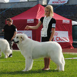 Echo de'Chien Bianca - Baltic Winner 2013,Winter Cup Winner 2013, Best female in Estonian Specialty show 2013, 1 CAC away compleating her Estonian and Latvian Champion title