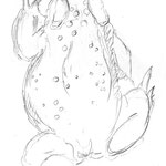 Crapaud commun