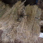 稲わら畳の原料となる「わら束」たち