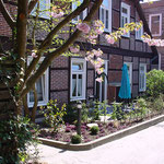 Wohnung 1