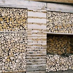 Bauen mit Holz