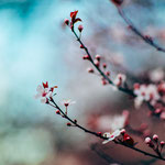 Foto von Nitish Meena auf Unsplash