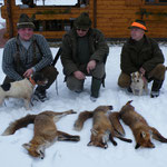 30.01.: Baujagern Lavamünd. 1. Fuchs von Reini´s Jacky rechts gesprengt, 2. Fuchs vom Herren in der Mitte erlegt, 3. Fuchs von Rocky gesprengt, von mir beschossen und von Rocky abgebeutelt! Wieder stolz aufn Kleinen! :-)