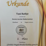 Unterklasse magpie/brindle
