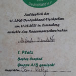 Meerschweinchen von der Priesorther Feste 