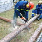 Ausbildung in Immendingen