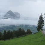 Vereinsreise Klangweg Toggenburg, 22.6.2013