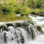 Nationalpark Plidvice - zahllose kleine und große Wasserfälle