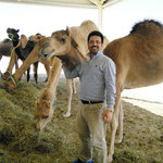Dr Nisar Ahmad Wani feeds Injaz at the Reproductive Biotechnology Centre in Nad Al Sheba.