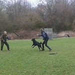 Alfons (Balou)