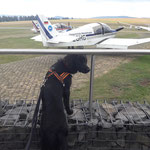 Auf der Wasserkuppe, Flugbetrieb zuschauen