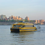 Water Taxi