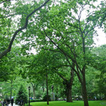 Madison Square Park