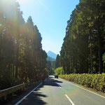 正面の三角帽子 トカゲ岩がくっついているんだそうです♪