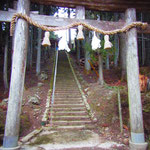 ワケノス神社・・・ どんな字を書いたんだっけ。 昼でもうっそうとした木々に日差しが遮られて・・・