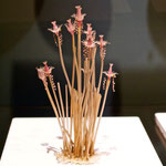 Oaten Pipe. Sea Creatures in Glass, Harvard Museum of Natural History