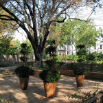 Cluny Museum courtyard