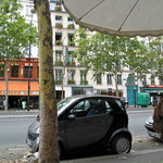 Brasserie Lipp and Hotel Au Manoir