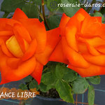 FRANCE LIBRE