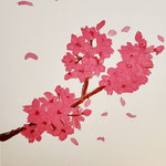 1841「儚く舞い散る桜の花は愛おしい」作者：松川永遠
